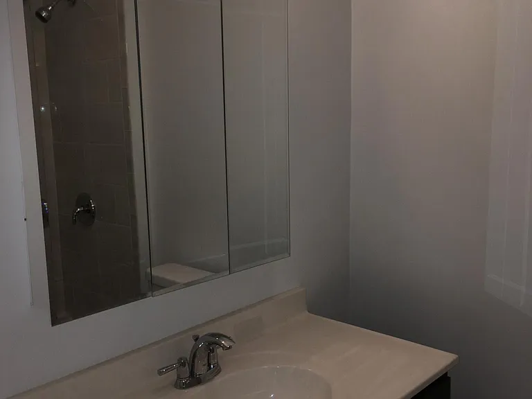 2717 N Pine Grove Ave #301 — Photo 8