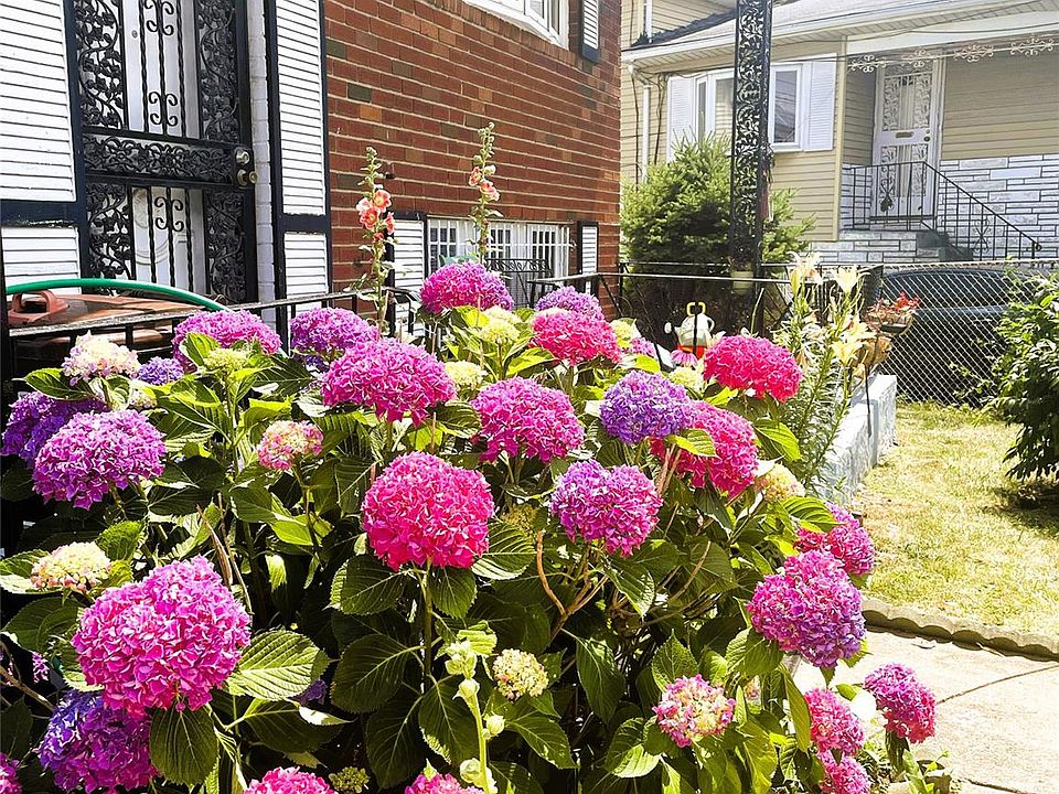 155-76 115th Road, Jamaica, NY 11434 | Zillow