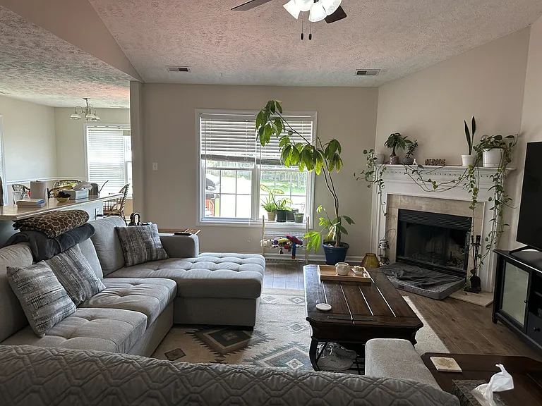 590 Americana Dr — Photo 4