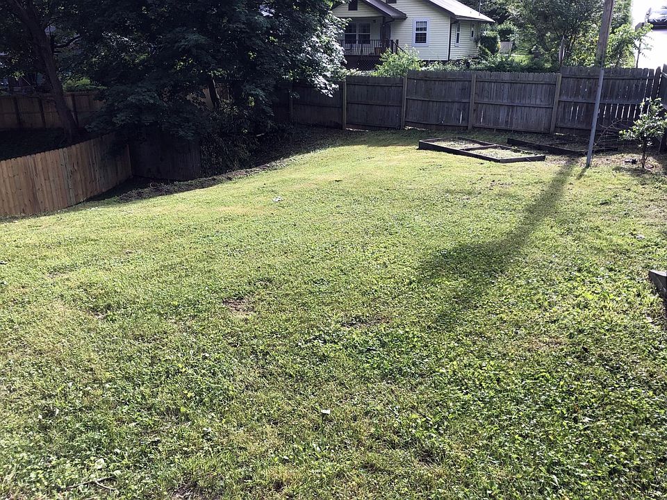 back yard