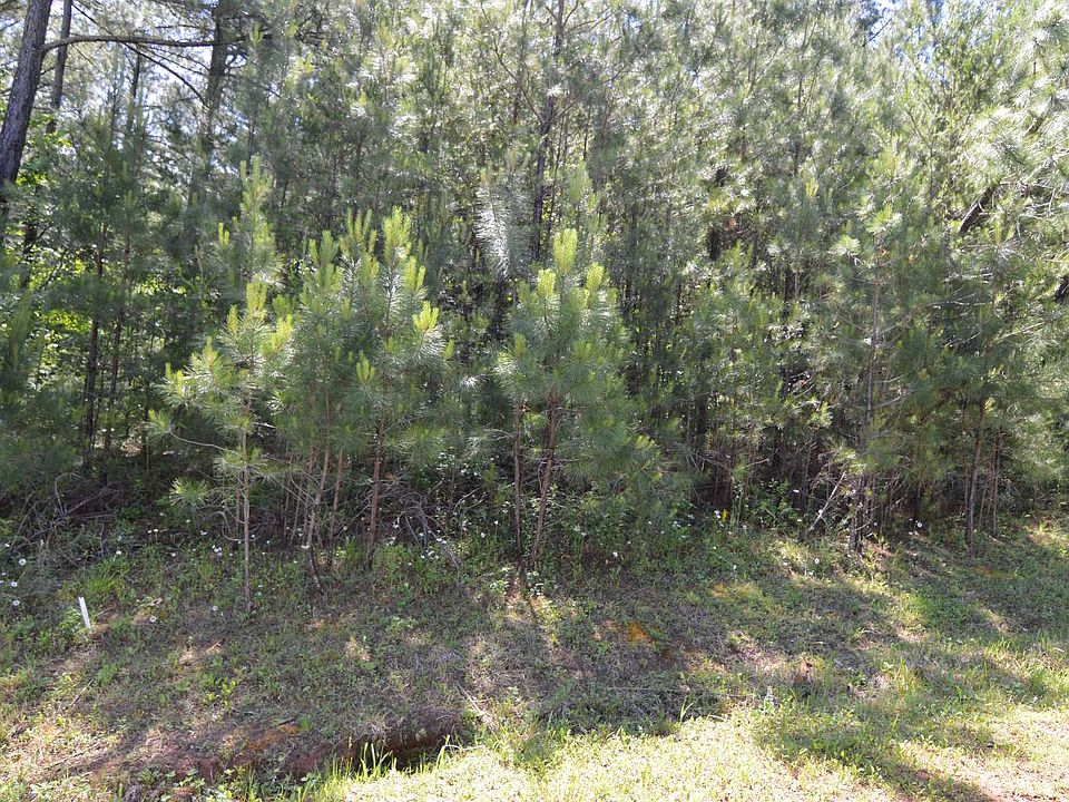 1st image of 14 Loftis Mountain Way