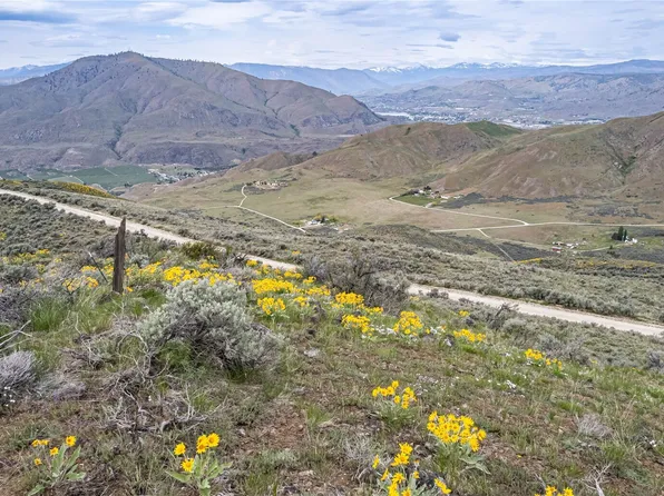 0 Chelan Hills Acres Tract, Orondo, WA 98843