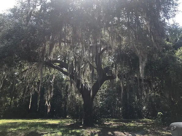 341 North Rd, Enterprise, FL 32725