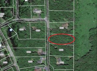 Bald Eagle Forest Rd #45, Blanchard, PA 16826