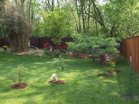 Back garden, spring 2016