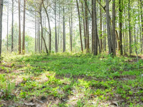 30 Shoreside Dr, Double Springs, AL 35553