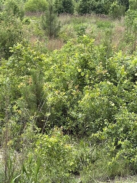 1st image of 0 Texas Ln