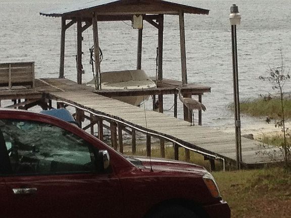 3rd image of 123 Lake Broward Ln