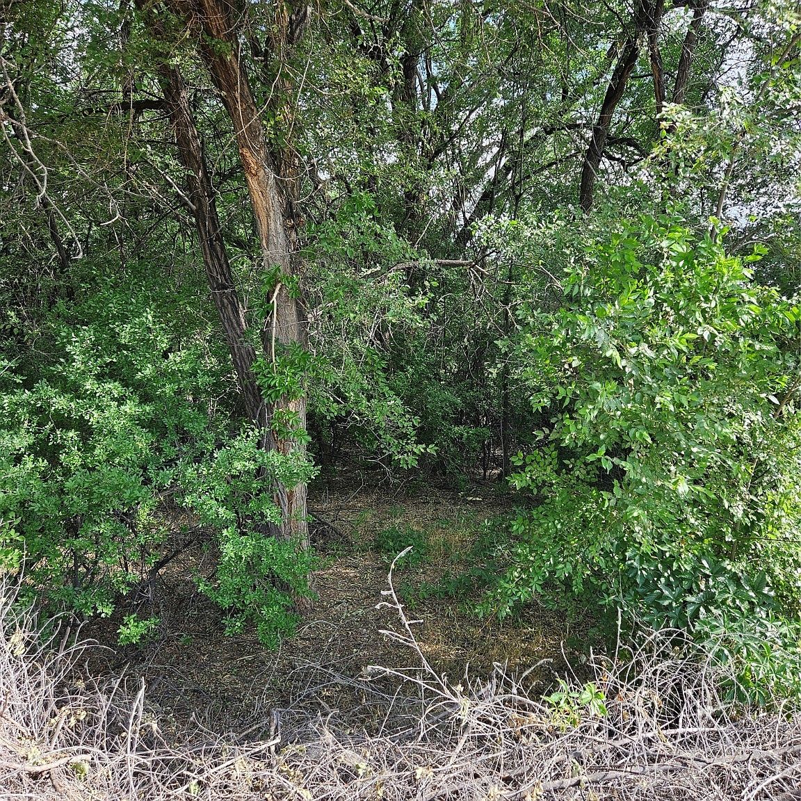 36 Carros De Caballos, Pena Blanca, NM 87041 Zillow