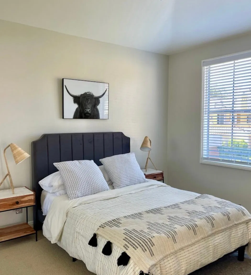 501 Marinella Aisle — Photo 4
