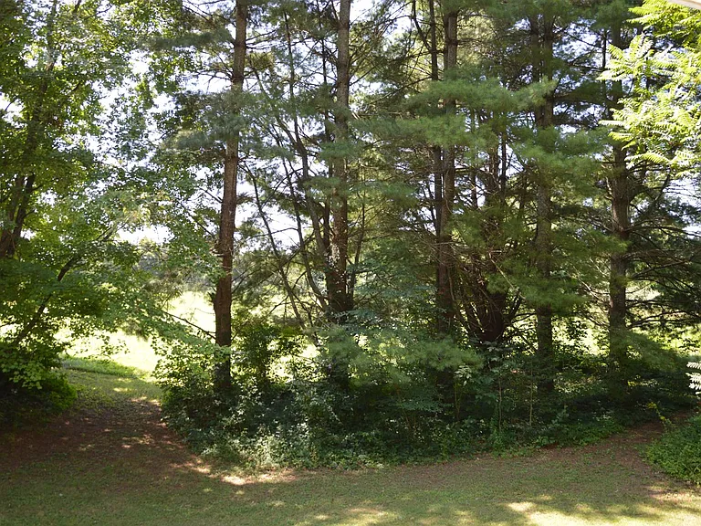 12368 Rixeyville Rd — Photo 37