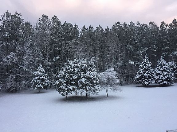 winter view