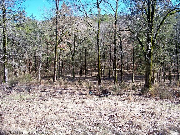 2nd image of 1235 Country Meadow Ln
