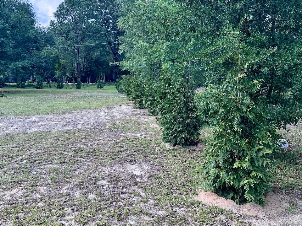 2nd image of 12341 Mallard Creek Drive