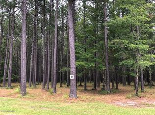 379 Madison Ave, Oriental, NC 28571