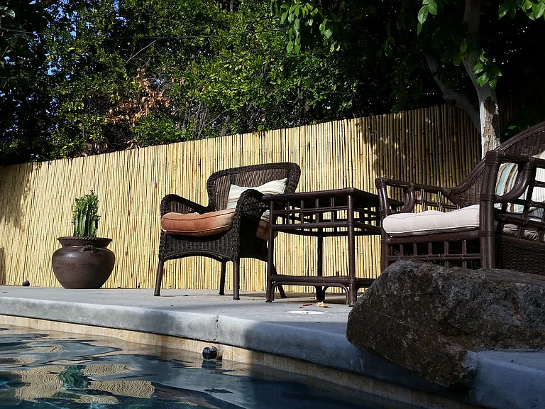 1592 S Calle Rolph — Photo 8