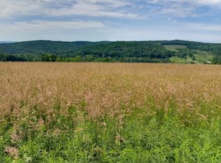 0 Robinson Rd, Bainbridge, NY 13733