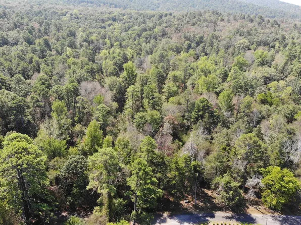 (undisclosed Address), Danville, AR 72833