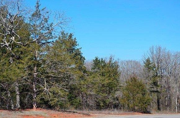 1st image of 601 Turkey Run Ct #10