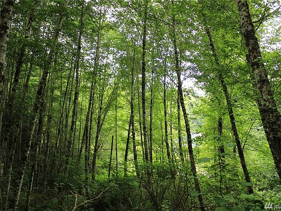 3rd image of 99999 Charley Creek Rd