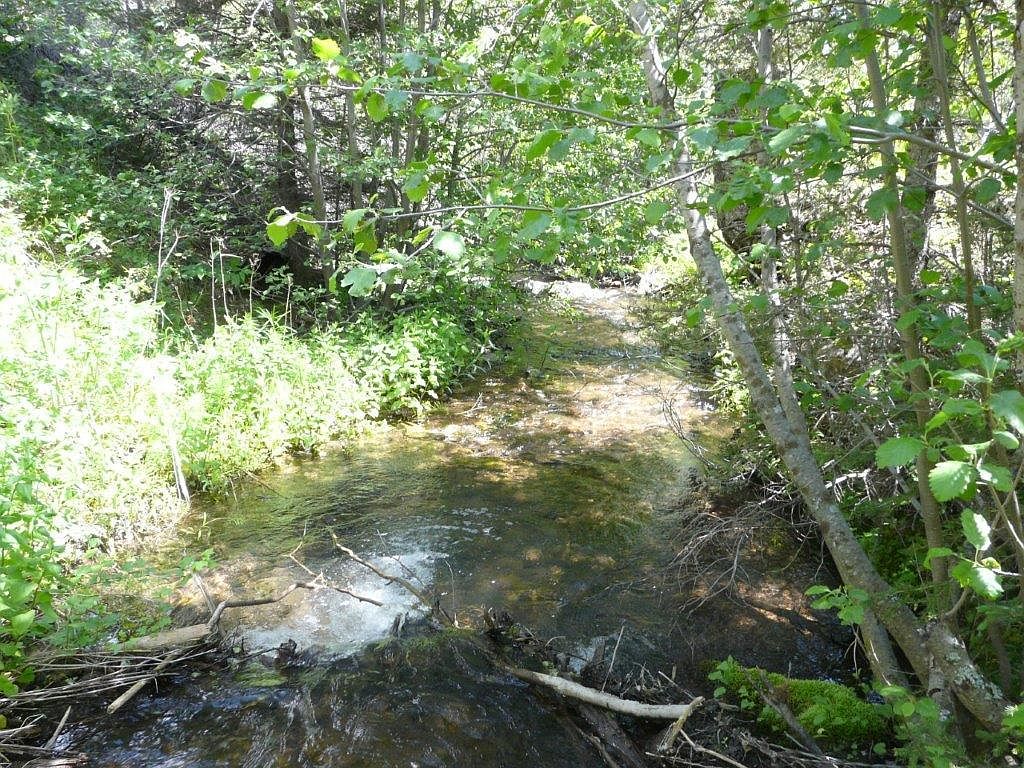 28 Elk Meadow Loop, Lincoln, MT 59639 Zillow