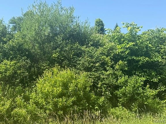 2nd image of Wothe Freeman Rd Lot 14