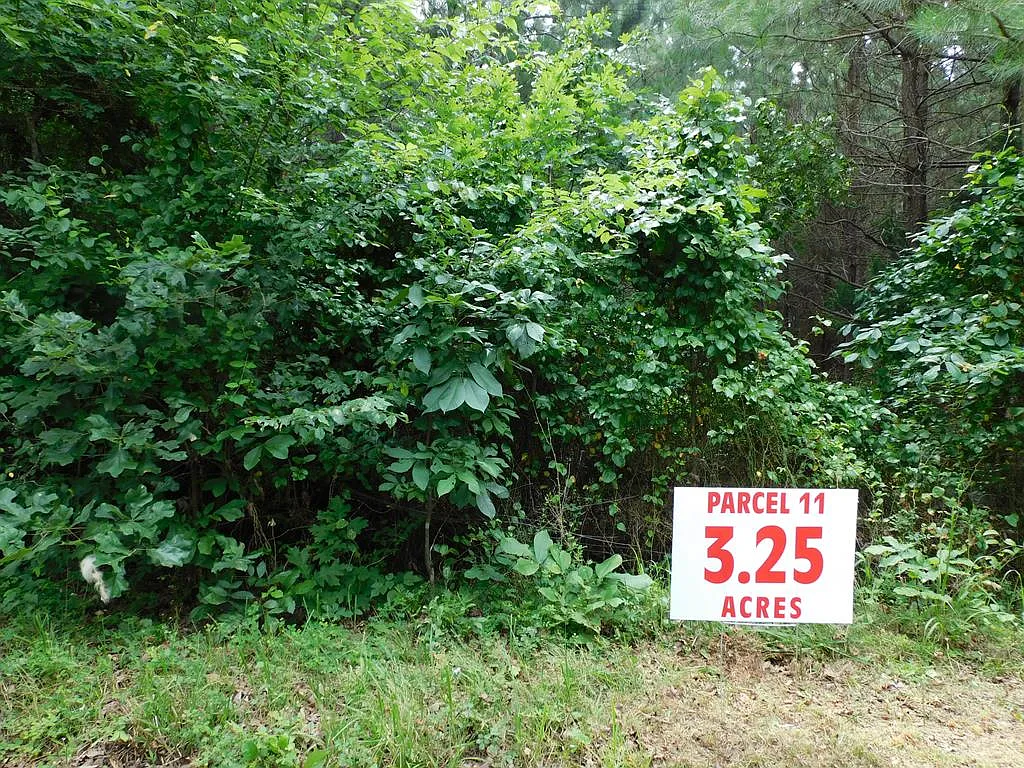 Neals Corner Rd photo 1