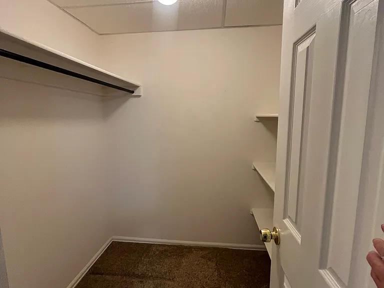 Walk-in closet - basement bedroom
