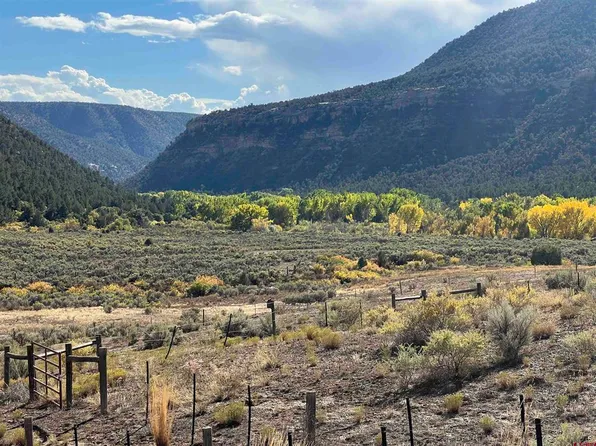 TBD Road 41, Mancos, CO 81328