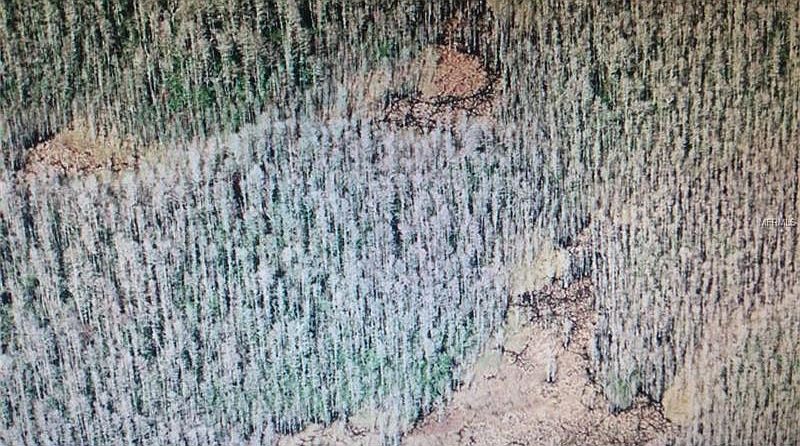 2nd image of Holopaw Groves Rd