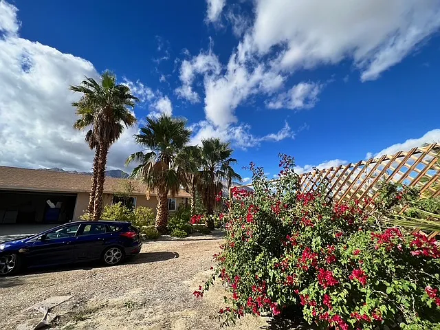 603 Verbena Dr — Photo 4
