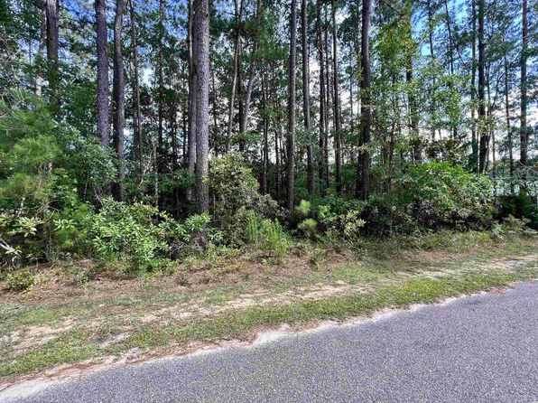 1188 Francis Parker Rd, Georgetown, SC 29440