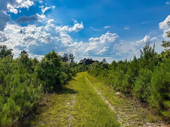 Compass South Land Sales South Carolina Cordova Road 3