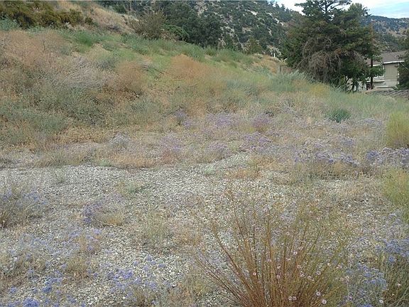 4th image of 4009 Mount Pinos Way