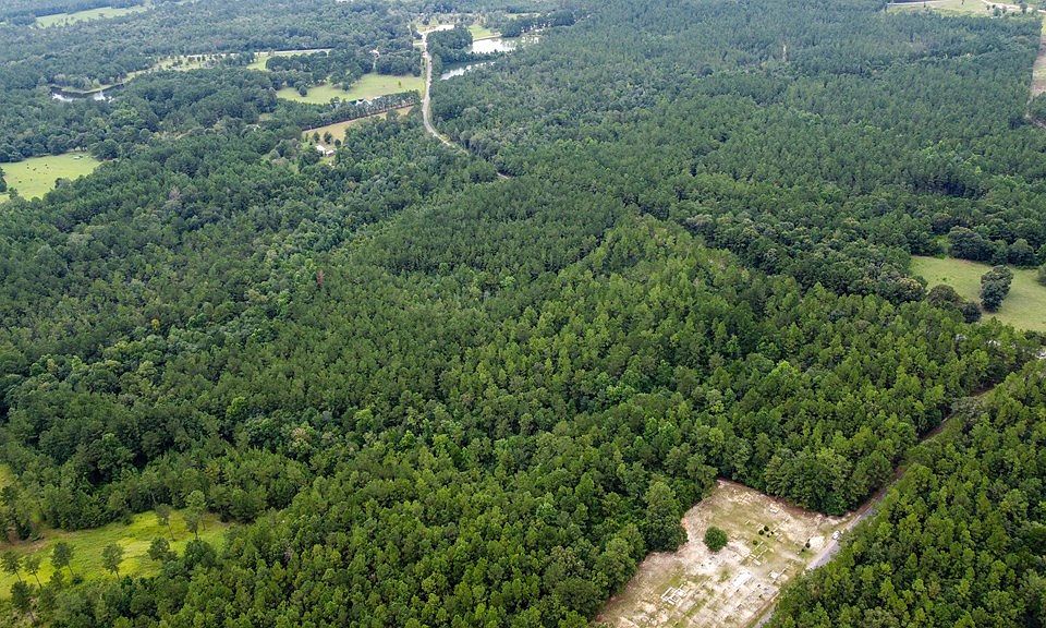 2nd image of Nhn Silver Run Progress Rd