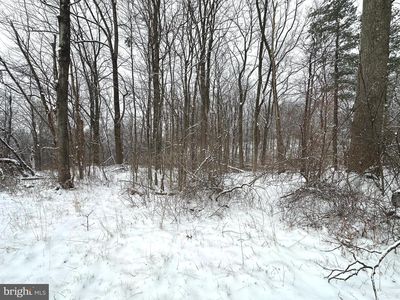 LOT 4 Duwamish Trl, Winchester, VA, 22602