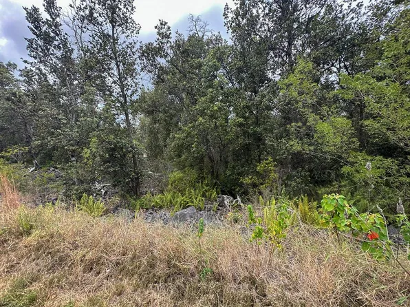 92-8827 Paradise Pkwy Lot 26, Captain Cook, HI 96704