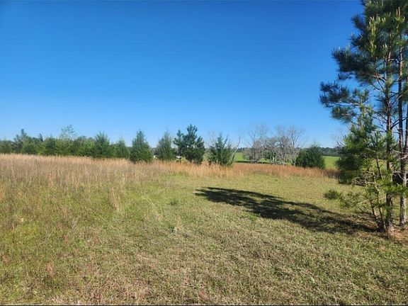 4th image of 0 W Lewis Ln