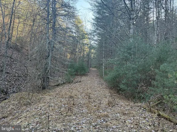 Buck Hill Ln, Sugar Grove, WV 26815