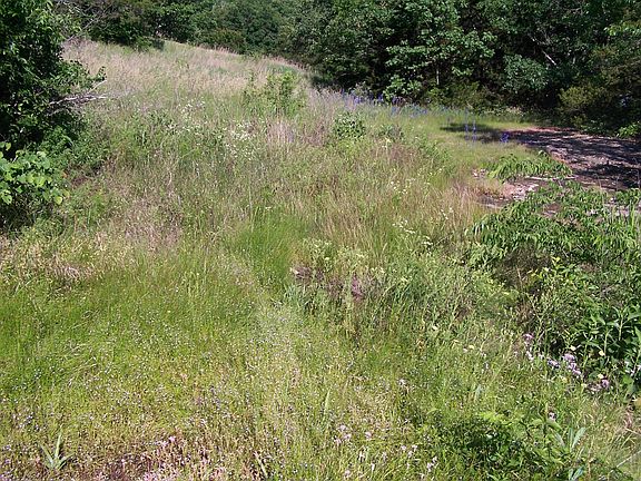 4th image of Crestwood West Lots 9 - 10