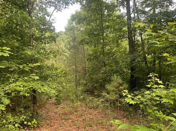 0 Joe Milam Rd, Buchanan, TN 38222