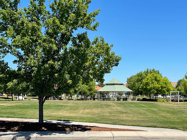 House is overlooking the park