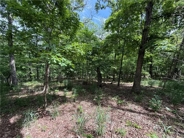 County Road 206, Eureka Springs, AR 72632