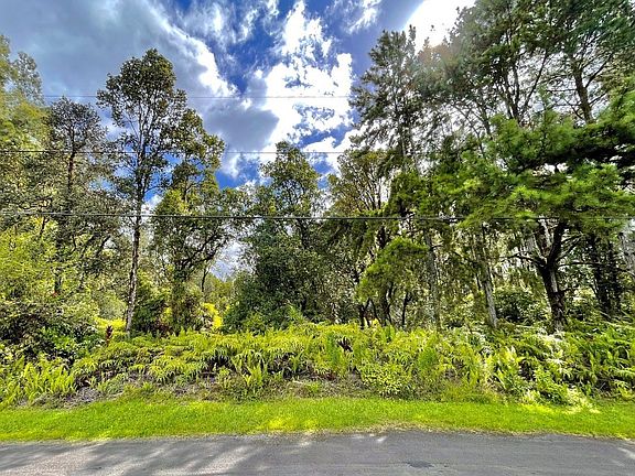 2nd image of Hibiscus St Lot 7542