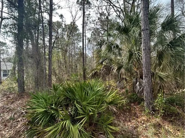 3 Primula Dr, Homosassa, FL 34446