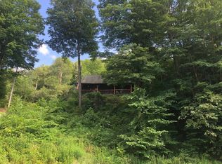 604 Gregory Hollow Rd, Hamden, NY 13782