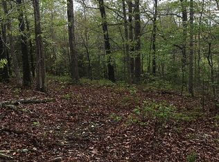 307 Resting Dr, Saint Joe, AR 72675