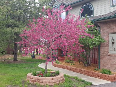 14 N Sherwood Gln, Monument, CO, 80132
