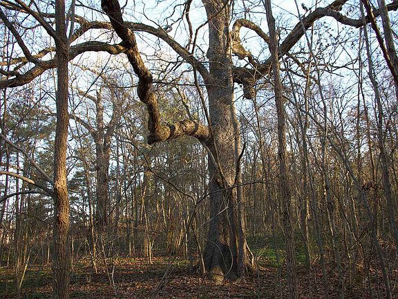 4th image of 4510 Fayette Corners Rd