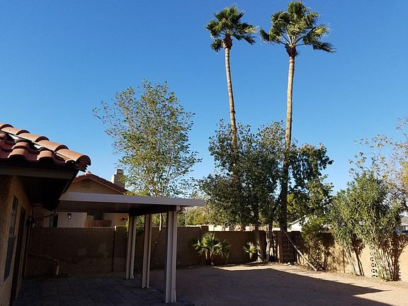 Back yard